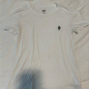 Aritzia Sunday Best Tee Shirt Cactus